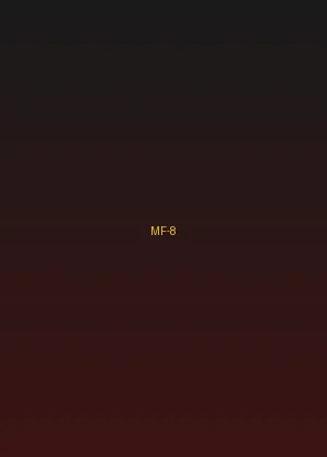 四虎 - 时空旅人海报