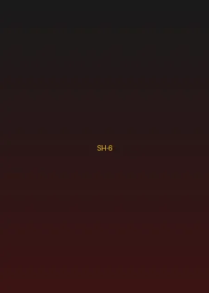 四虎 - 极速追击海报